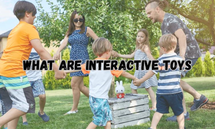 What are interactive toys